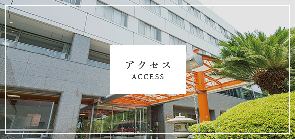 アクセス ACCESS